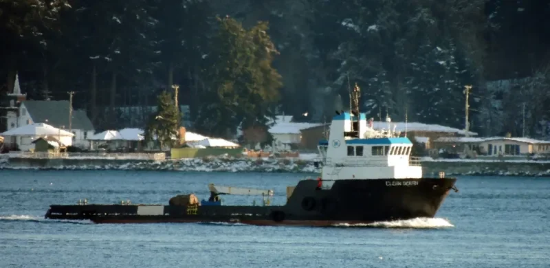 CLEAN OCEAN Offshore Vessel IMO 9202352 photo 3