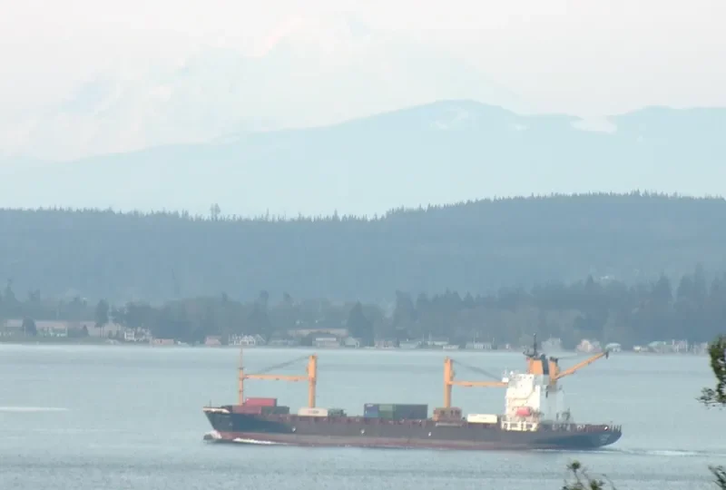 SEA OF LUCK Container Ship IMO 9202481 photo 5