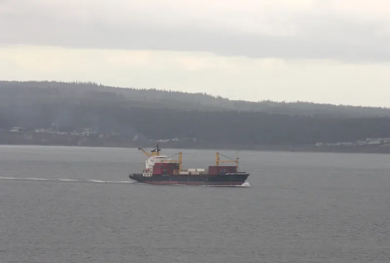 SEA OF LUCK Container Ship IMO 9202481 photo 6