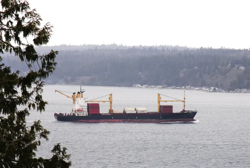 SEA OF LUCK Container Ship IMO 9202481 photo 7