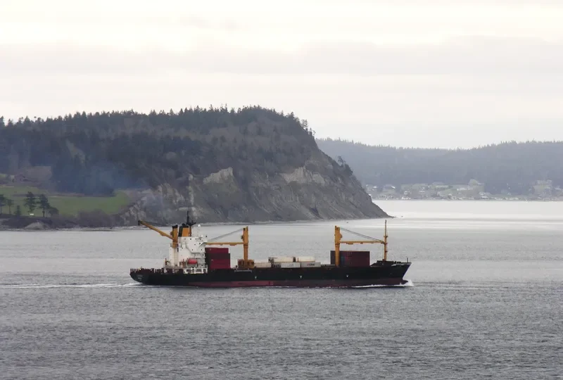 SEA OF LUCK Container Ship IMO 9202481 photo 8