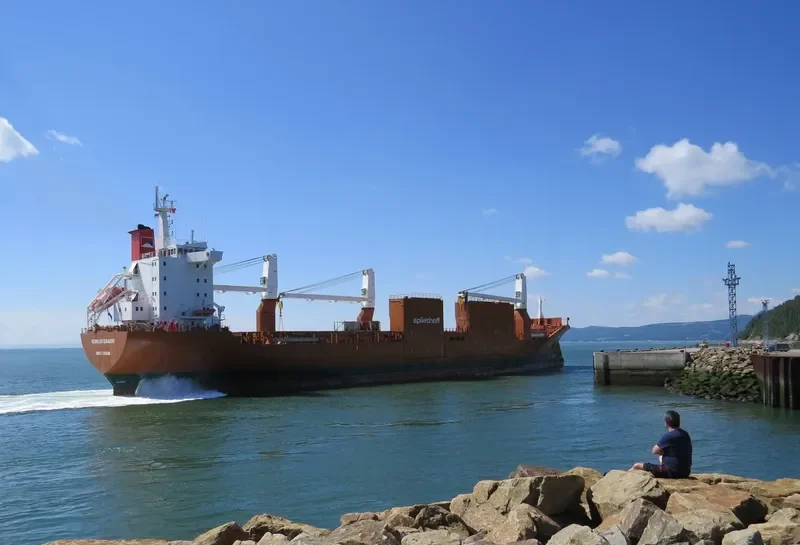 SCHELDEGRACHT General Cargo IMO 9202510 photo 6