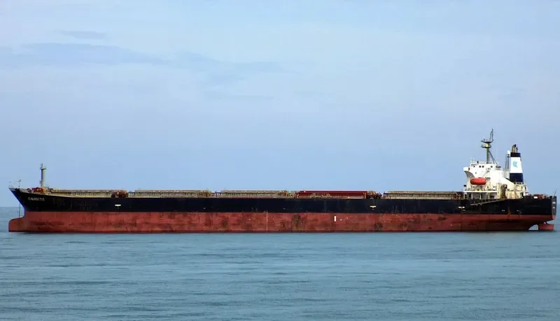 HC SUNSHINE Bulk Carrier IMO 9202584 photo 8