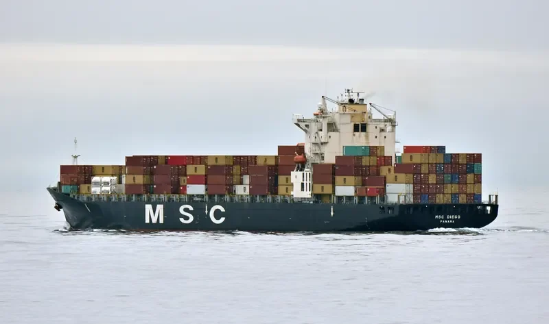 MSC DIEGO Container Ship IMO 9202649 photo 2