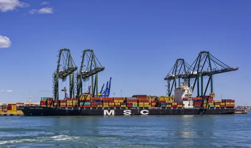 MSC REGINA Container Ship IMO 9202651 photo 3