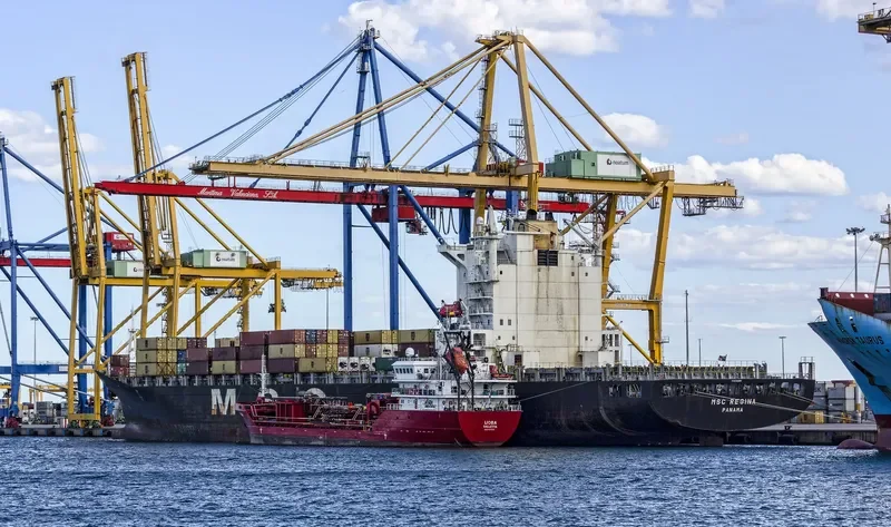 MSC REGINA Container Ship IMO 9202651 photo 4