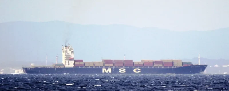 MSC REGINA Container Ship IMO 9202651 photo 5