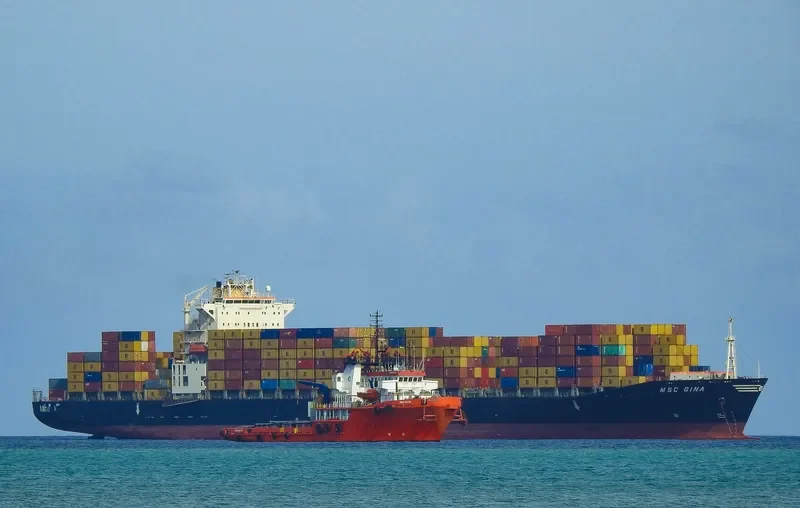 MSC GINA Container Ship IMO 9202663
