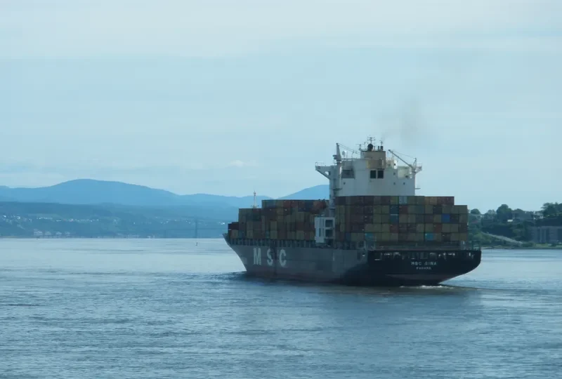 MSC GINA Container Ship IMO 9202663 photo 2