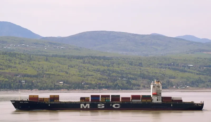 MSC GINA Container Ship IMO 9202663 photo 5