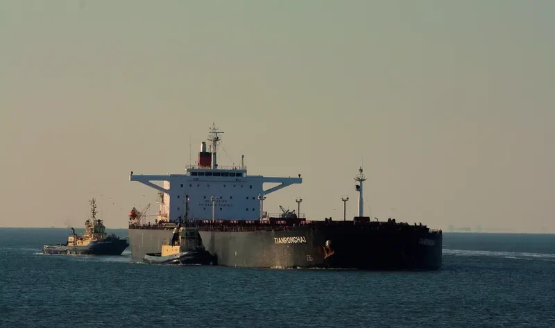 TIANRONGHAI Bulk Carrier IMO 9203112 photo 10