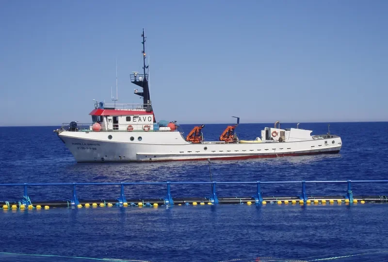 SANTINA General Cargo IMO 9203162 photo 2