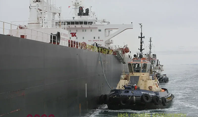 POINT VALIANT General Cargo IMO 9203435 photo 10