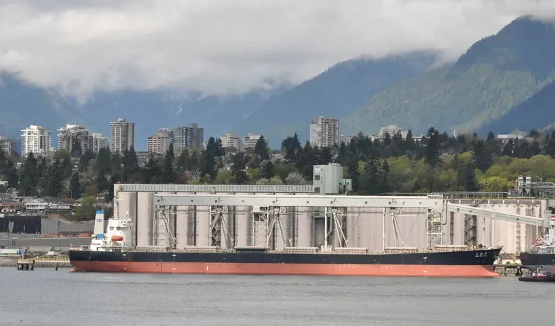 TIAN ZHU FENG Bulk Carrier IMO 9203485 photo 3