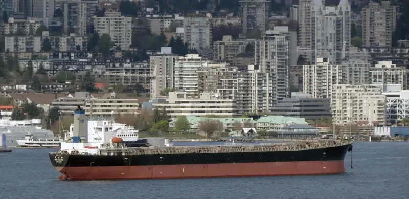 TIAN ZHU FENG Bulk Carrier IMO 9203485 photo 4