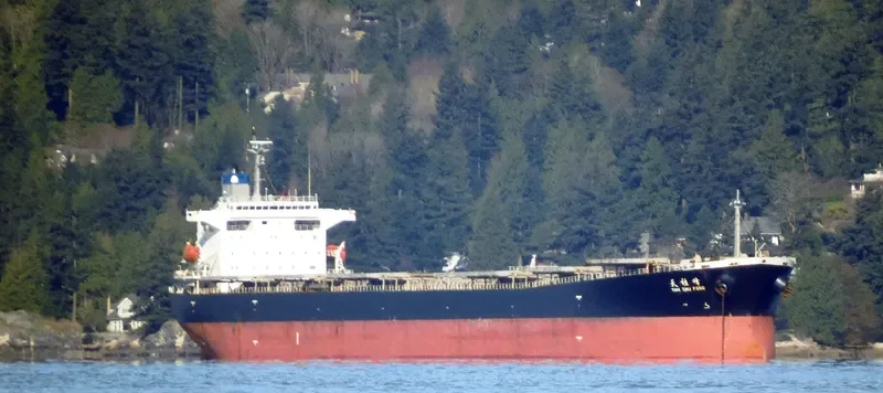 TIAN ZHU FENG Bulk Carrier IMO 9203485 photo 5