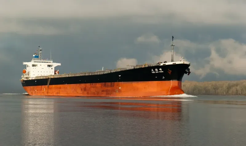 TIAN ZHU FENG Bulk Carrier IMO 9203485 photo 6