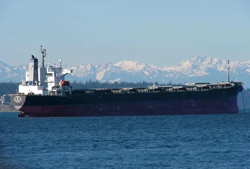 TIAN ZHU FENG Bulk Carrier IMO 9203485 photo 8