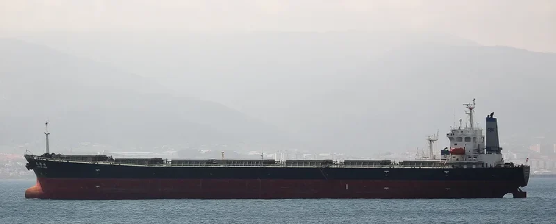 TIAN DU FENG Bulk Carrier IMO 9203497 photo 2