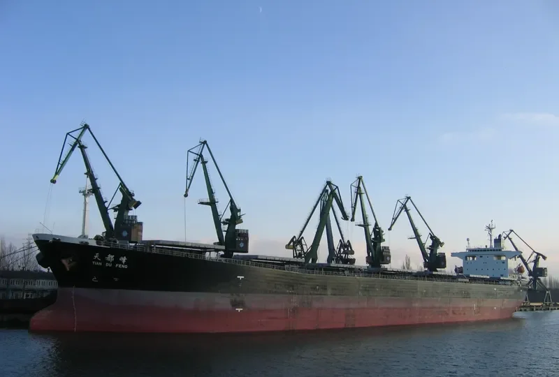 TIAN DU FENG Bulk Carrier IMO 9203497 photo 4