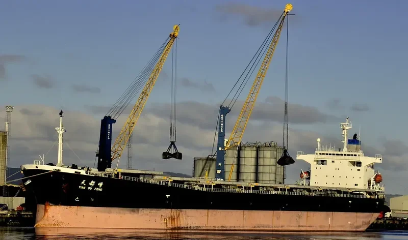TIAN DU FENG Bulk Carrier IMO 9203497 photo 6