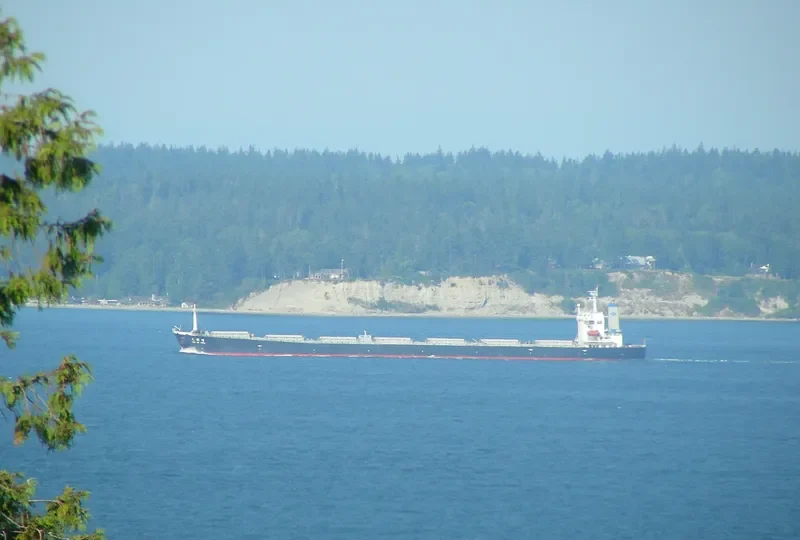 TIAN DU FENG Bulk Carrier IMO 9203497 photo 8