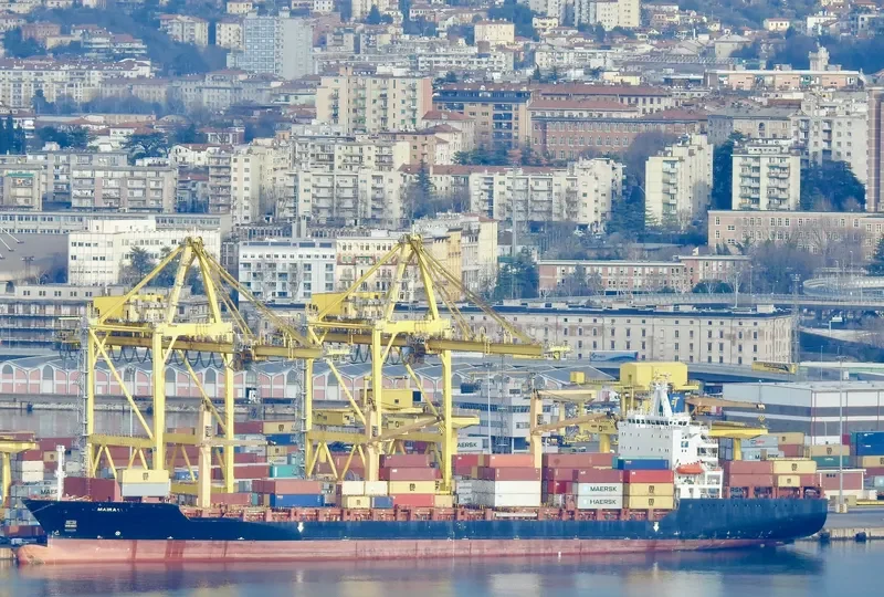 MAIRA Container Ship IMO 9203502 photo 2