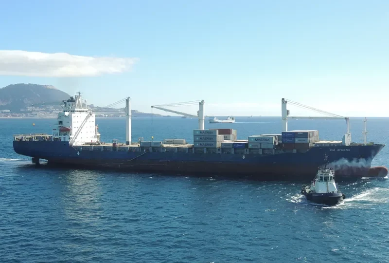 MSC MALENA Container Ship IMO 9203538