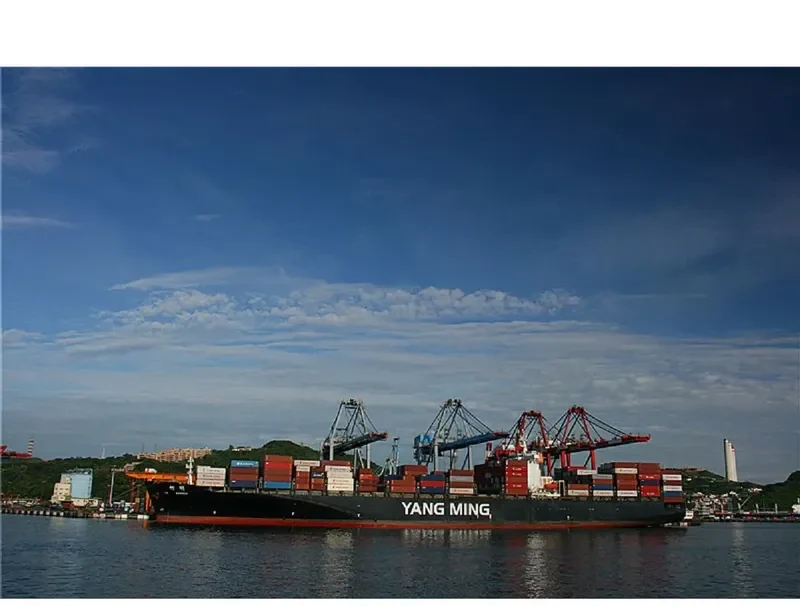 RAMBO Container Ship IMO 9203629 photo 5
