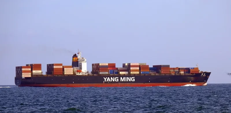 RAMBO Container Ship IMO 9203629 photo 9