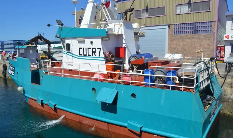 PEREIRA E MOCA General Cargo IMO 9203655 photo 3