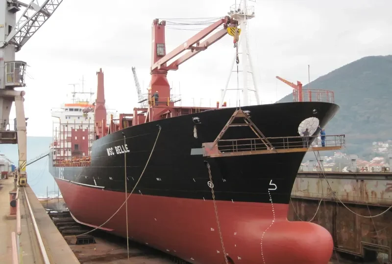 MSC BELLE Container Ship IMO 9203904 photo 4