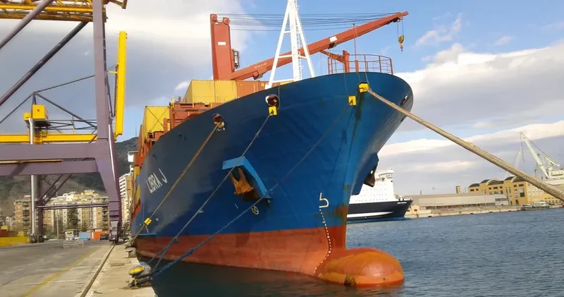 MSC BELLE Container Ship IMO 9203904 photo 7