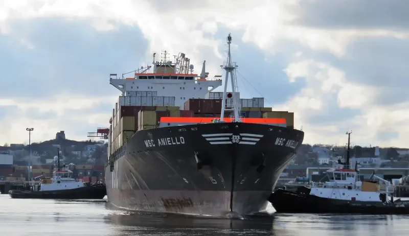 MSC ANIELLO Container Ship IMO 9203942 photo 2
