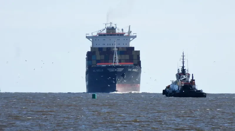 MSC ANIELLO Container Ship IMO 9203942 photo 6