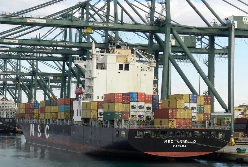 MSC ANIELLO Container Ship IMO 9203942 photo 8