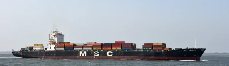 MSC SANDRA Container Ship IMO 9203954 photo 3