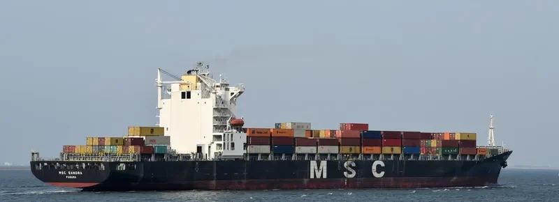 MSC SANDRA Container Ship IMO 9203954 photo 5