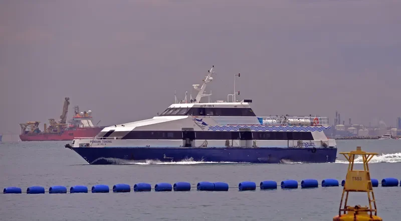 PENGUIN TEKONG Passenger Ship IMO 9204025 photo 2