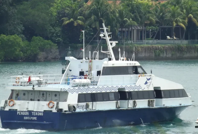 PENGUIN TEKONG Passenger Ship IMO 9204025 photo 5