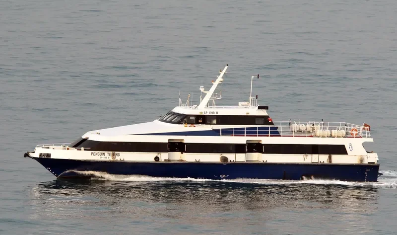 PENGUIN TEKONG Passenger Ship IMO 9204025 photo 8