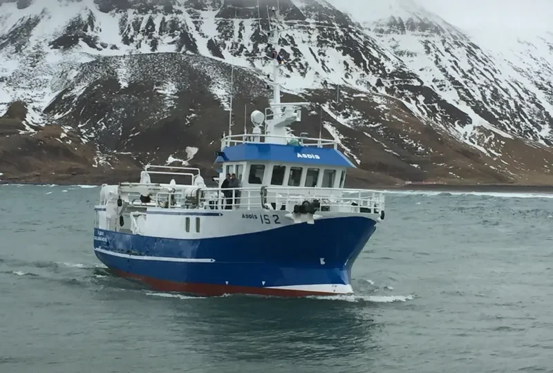 ASDIS General Cargo IMO 9204051
