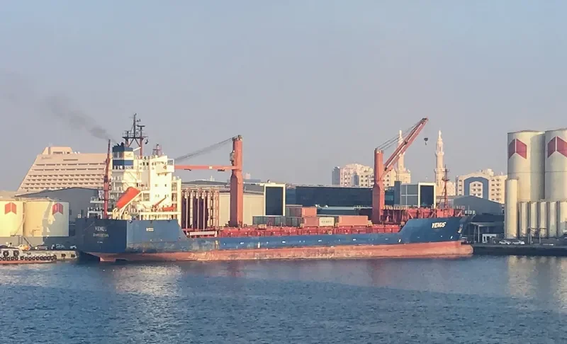 VENUS Container Ship IMO 9204116 photo 2