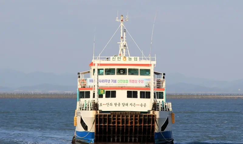 SHINANNONGHYUBFERRY7 Passenger Ship IMO 9204154 photo 2
