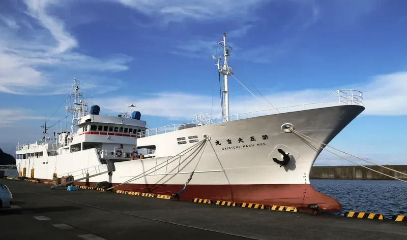 DAIKICHI MARU NO.5 General Cargo IMO 9204192 photo 5