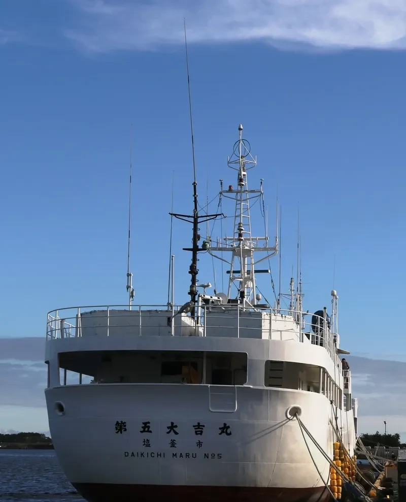 DAIKICHI MARU NO.5 General Cargo IMO 9204192 photo 6