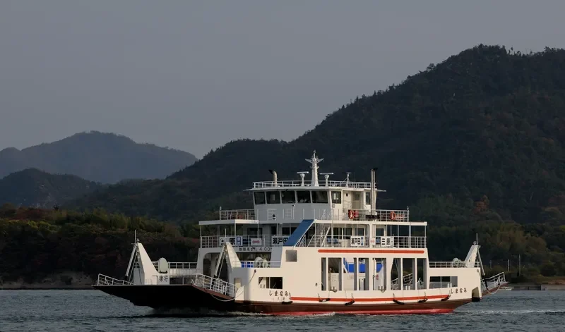 SWARNA NALINI Ro-Ro IMO 9204257 photo 3