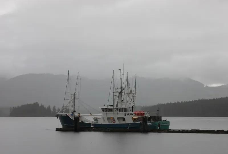 DAYNA S General Cargo IMO 9204300 photo 2