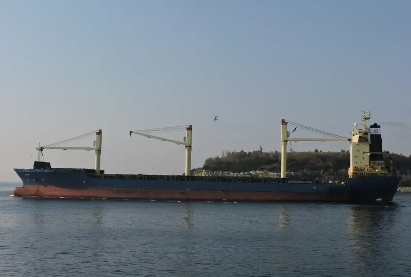 JOANNA Container Ship IMO 9204477 photo 4