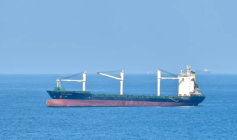 BOMA Container Ship IMO 9204489 photo 2
